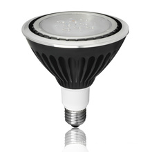 LED Landscape PAR38 Spotlight with IP67